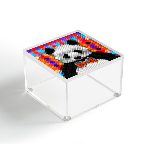 Ali Gulec Panda 1 Acrylic Box