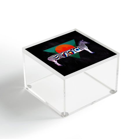 Ali Gulec Zebra Distorted Acrylic Box