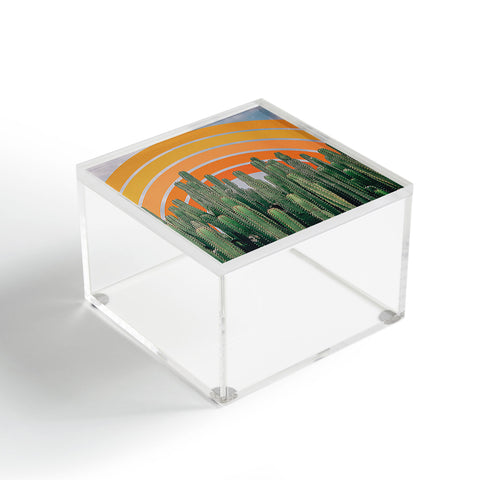 Alisa Galitsyna Cactus and Rainbow Acrylic Box