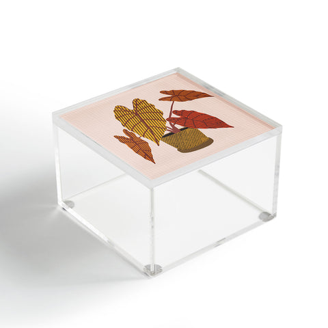 Alisa Galitsyna Patterned Alocasia 2 Acrylic Box