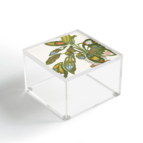 Alja Horvat Scandinavian Plant Acrylic Box