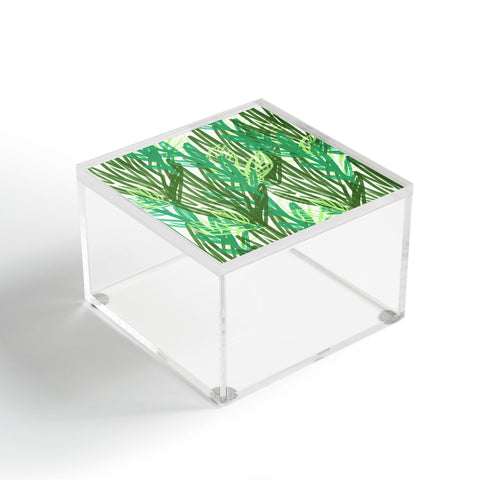 Allyson Johnson Abstract greenery Acrylic Box
