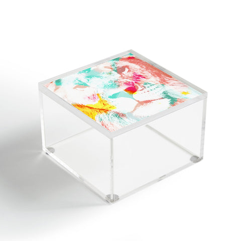 Allyson Johnson Abstract Lion Acrylic Box