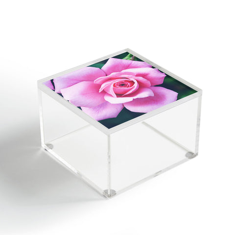 Allyson Johnson Darling Pink Rose Acrylic Box