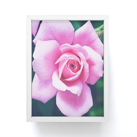 Allyson Johnson Darling Pink Rose Framed Mini Art Print