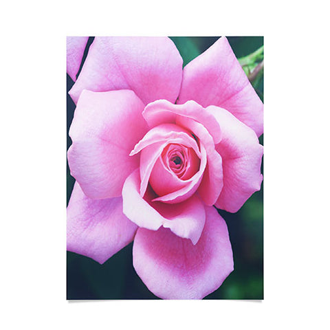 Allyson Johnson Darling Pink Rose Poster