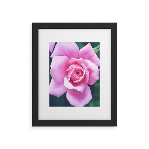 Allyson Johnson Darling Pink Rose Framed Art Print