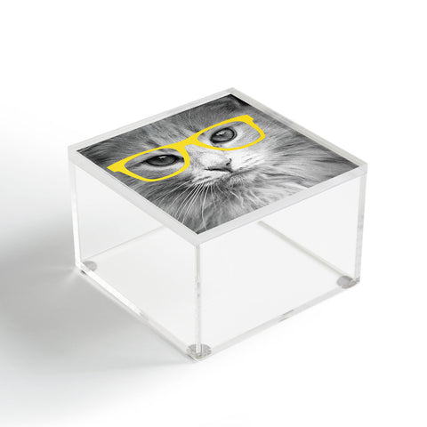 Allyson Johnson Hippest Cat Yellow Acrylic Box