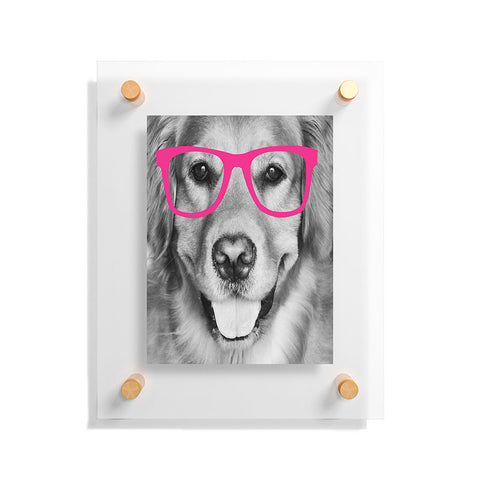 Allyson Johnson Hippest dog pink Floating Acrylic Print