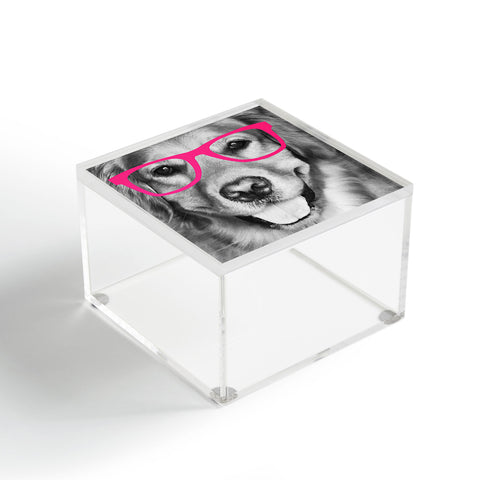 Allyson Johnson Hippest dog pink Acrylic Box