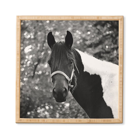 Allyson Johnson Horse Portrait Framed Wall Art