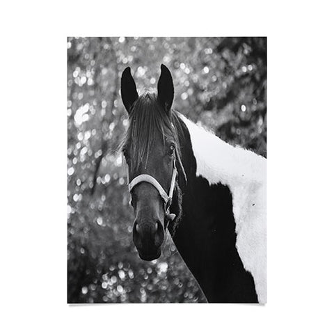 Allyson Johnson Horse Portrait Poster