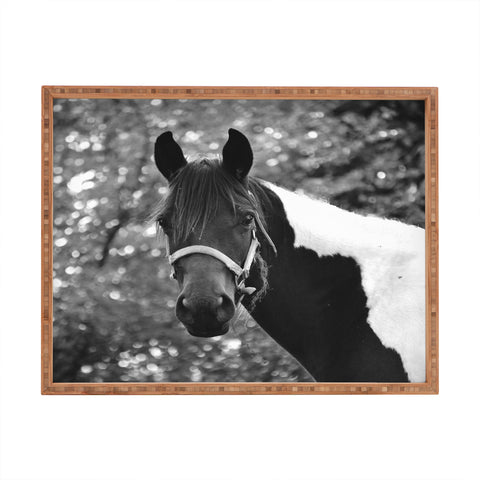 Allyson Johnson Horse Portrait Rectangular Tray