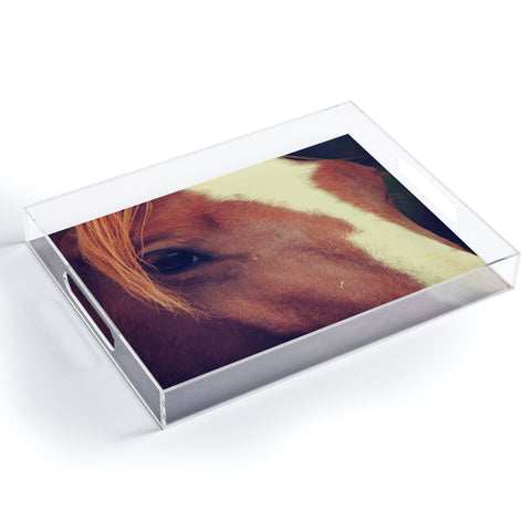 Allyson Johnson Horse Sense 2 Acrylic Tray