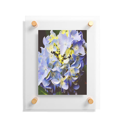 Allyson Johnson Hydrangea Flower Floating Acrylic Print