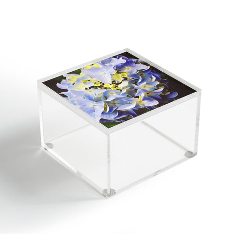 Allyson Johnson Hydrangea Flower Acrylic Box