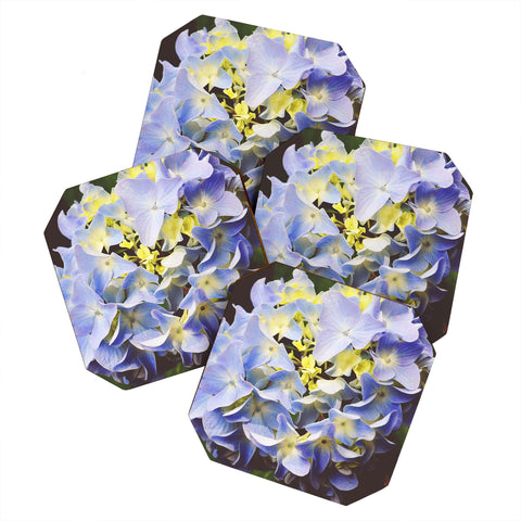 Allyson Johnson Hydrangea Flower Coaster Set