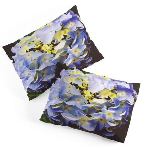 Allyson Johnson Hydrangea Flower Pillow Shams