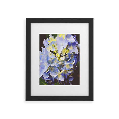 Allyson Johnson Hydrangea Flower Framed Art Print