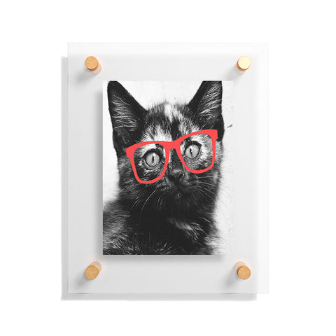 Allyson Johnson Sassy Kitten Floating Acrylic Print