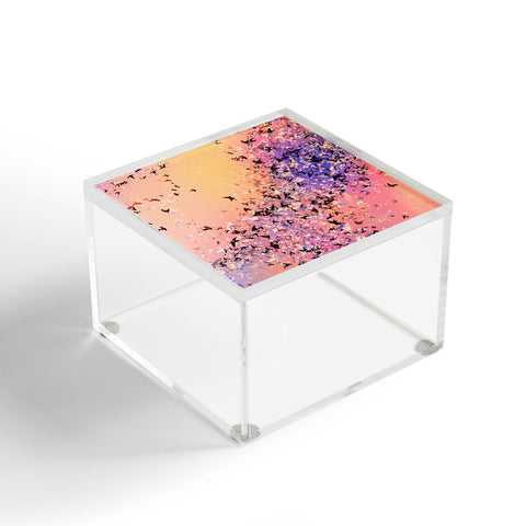 Amy Sia Birds of a Feather Pink Acrylic Box