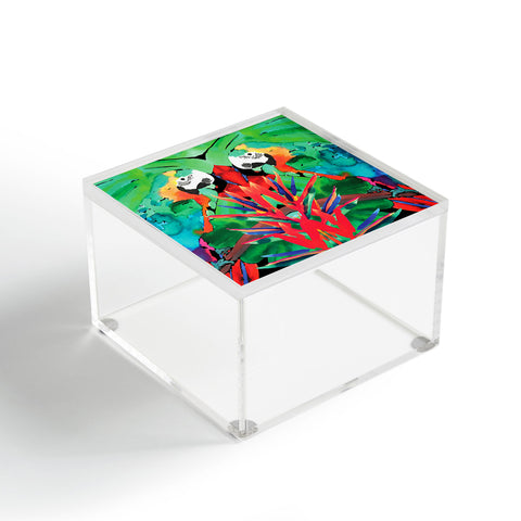 Amy Sia Welcome to the Jungle Parrot Acrylic Box