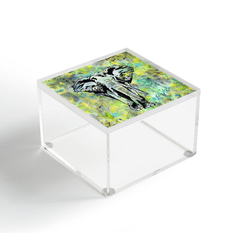 Amy Smith The Tough Elephant Acrylic Box