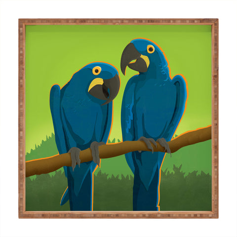Anderson Design Group Blue Maccaw Parrots Square Tray