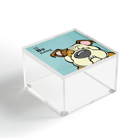 Angry Squirrel Studio Bulldog 13 Acrylic Box