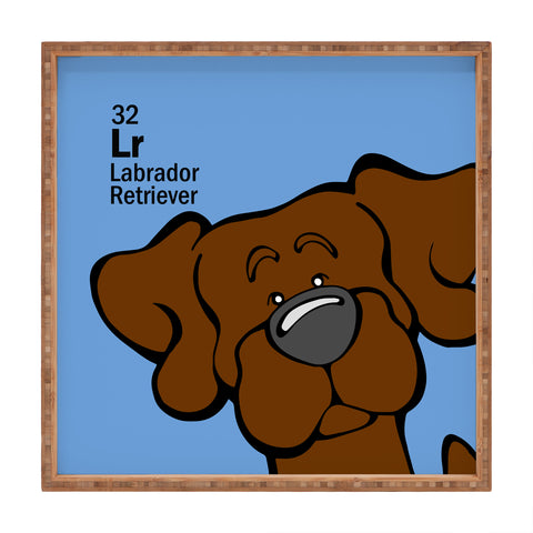 Angry Squirrel Studio Lab 32 Chocolate Lab Square Tray