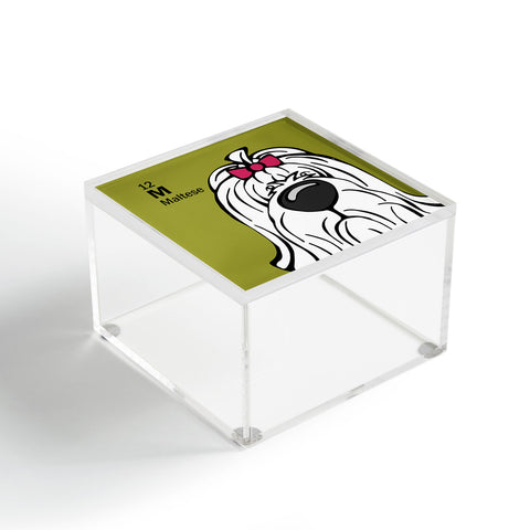 Angry Squirrel Studio Maltese 12 Acrylic Box