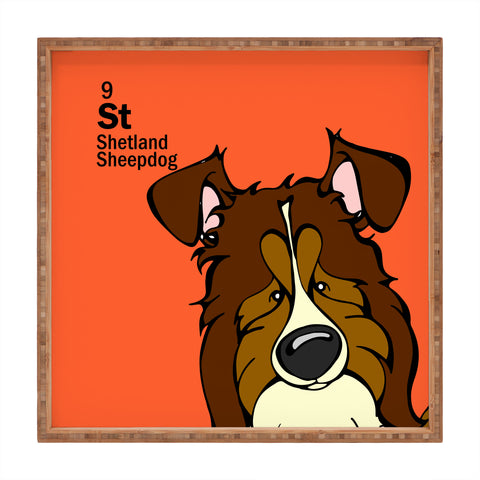 Angry Squirrel Studio Shetland Sheepdog 9 Square Tray