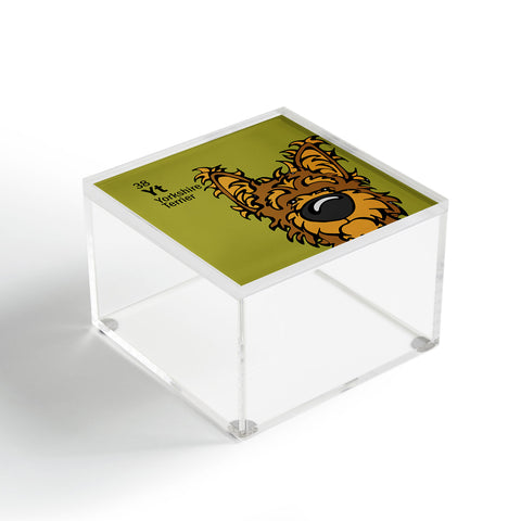 Angry Squirrel Studio Yorkshire Terrier 38 Acrylic Box