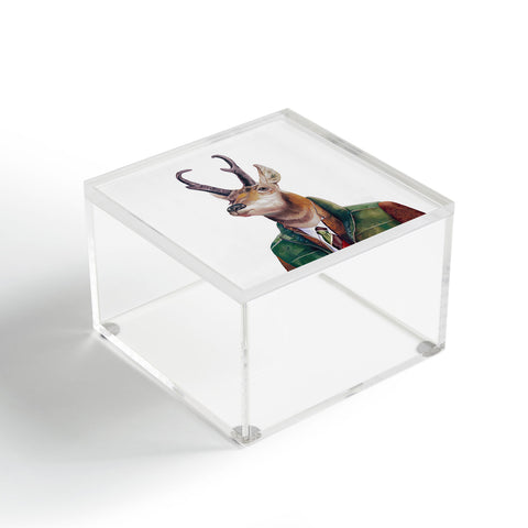 Animal Crew Pronghorn Deer Acrylic Box