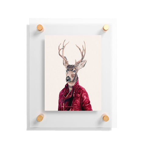 Animal Crew Red Deer Floating Acrylic Print