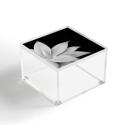 Anita's & Bella's Artwork Agave Finesse 2 tropical decor Acrylic Box