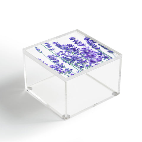 Anita's & Bella's Artwork Fresh Lavender 1 Acrylic Box
