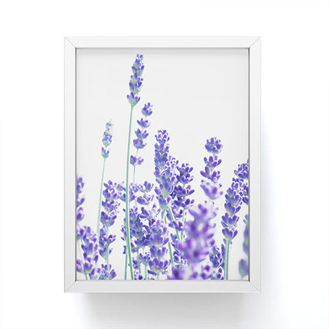 Anita's & Bella's Artwork Fresh Lavender 1 Framed Mini Art Print