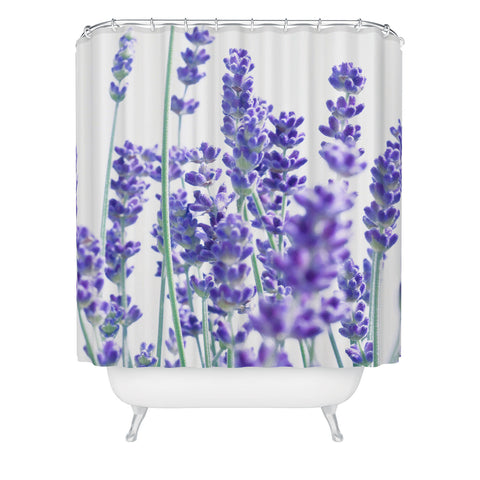 Anita's & Bella's Artwork Fresh Lavender 1 Shower Curtain