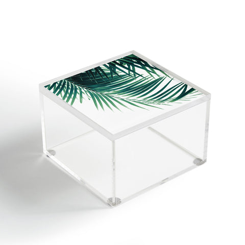 Anita's & Bella's Artwork Palm Leaves Green Vibes 4 Acrylic Box