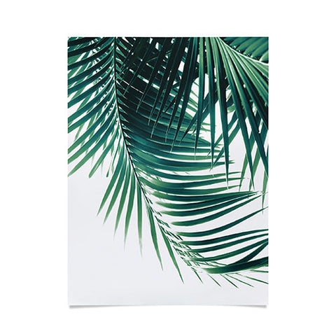 Anita's & Bella's Artwork Palm Leaves Green Vibes 4 Poster