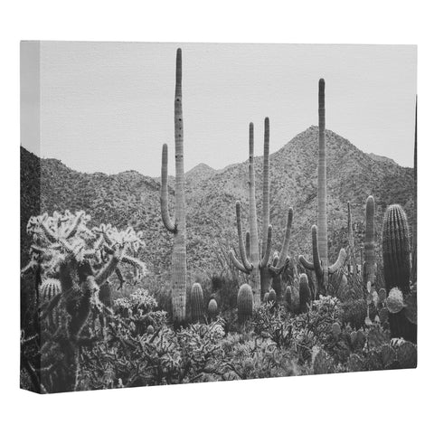 Ann Hudec A Gathering of Cacti Art Canvas