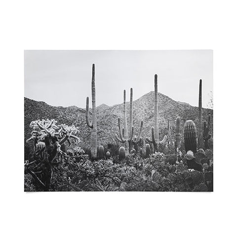 Ann Hudec A Gathering of Cacti Poster