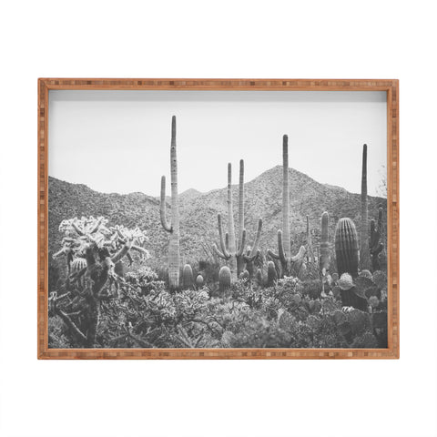 Ann Hudec A Gathering of Cacti Rectangular Tray