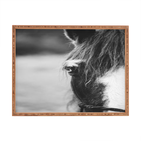 Ann Hudec Blue Eye horse photography Rectangular Tray