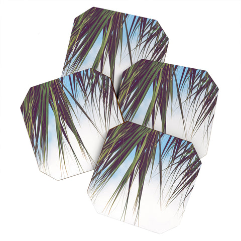 Ann Hudec Cabana Life x Palm Trees Coaster Set