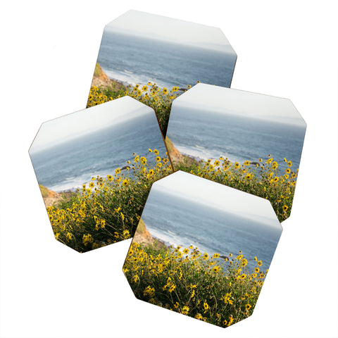 Ann Hudec Coastal Wildflowers Coaster Set