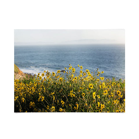 Ann Hudec Coastal Wildflowers Poster