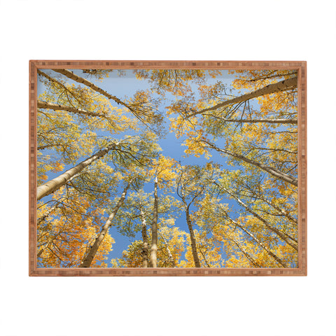 Ann Hudec Colorado Autumn Aspens Rectangular Tray