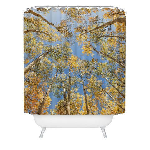 Ann Hudec Colorado Autumn Aspens Shower Curtain